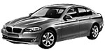 BMW F10 P294E Fault Code